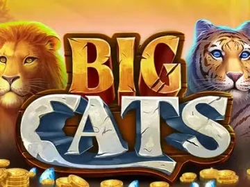Dream.bet Casino screenshot